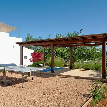 فيلة Santa Gertrudis