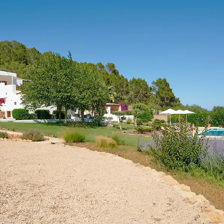 فيلة Santa Gertrudis