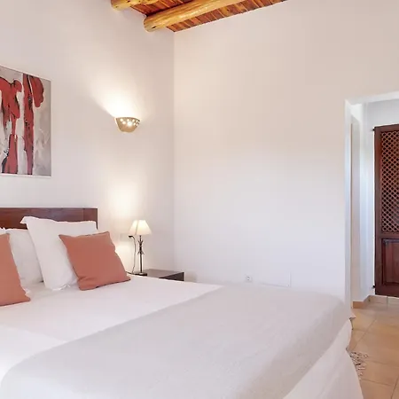 Santa Gertrudis فيلة *