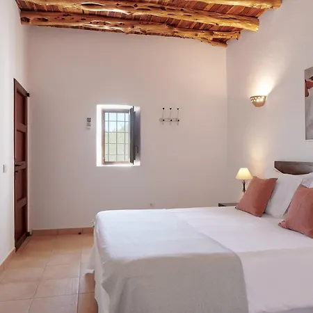 فيلة Santa Gertrudis